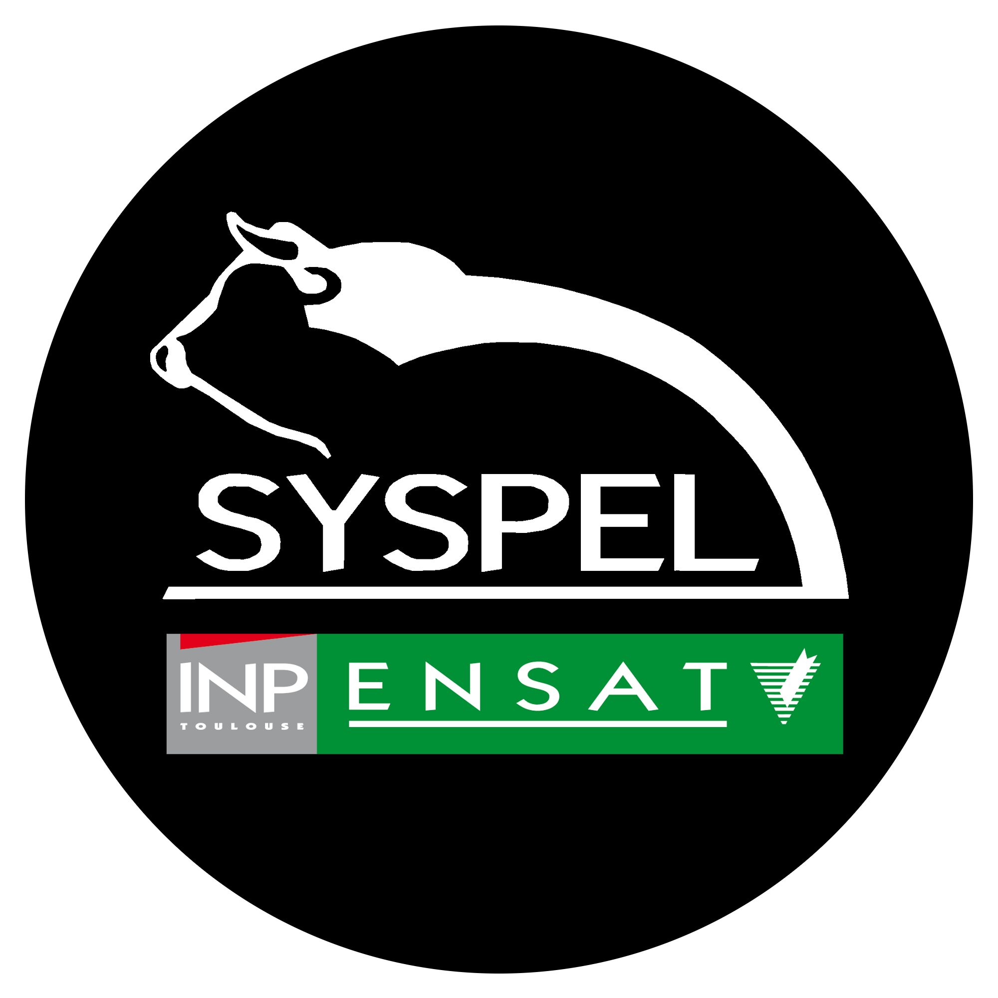 Spécialisation SysPEl ENSAT