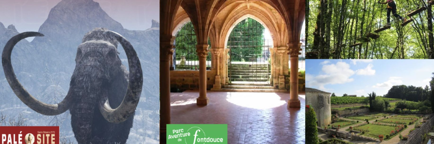 Paléosite et Abbaye de Fontdouce Paléosite et Abbaye de Fontdouce